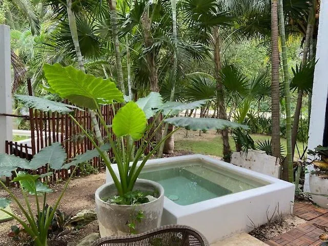 Anah Tulum Country Club Daire Akumal Meksika